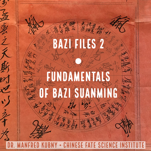 CFSI Bazi Files 2