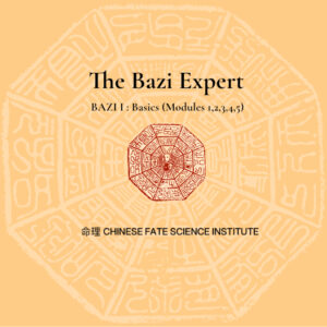 CFSI - The Bazi Expert - Bundle 1