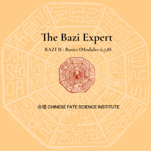 CFSI - The Bazi Expert - Bundle 2