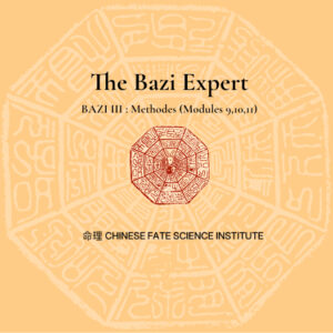 CFSI - The Bazi Expert - Bundle 3