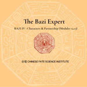 CFSI - The Bazi Expert - Bundle 4