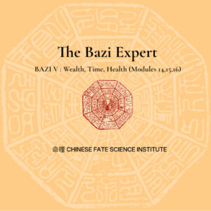 CFSI - The Bazi Expert - Bundle 5