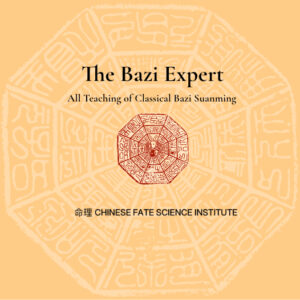 CFSI - The Bazi Expert